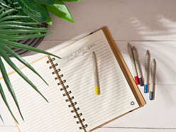 «Растущий карандаш» mini с семенами базилика