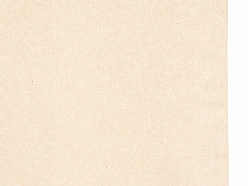 Сумка «Кэррими 180» из хлопка, 180 г/м2